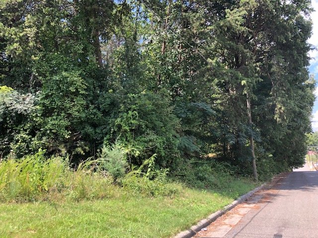 Image for 2.14± Acres Corner Lot in Mount Airy, NC - Online Only