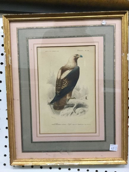 Image for Discovery Art Auction: 8-22-19