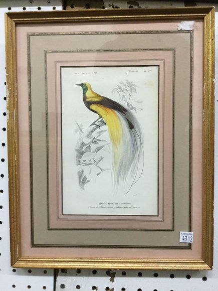 Image for Discovery Art Auction: 8-22-19