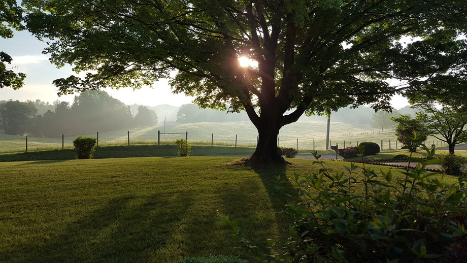 Image for Well Built 3 BR/2 BA Home on 1.7 +/- Acres in Madison County, VA