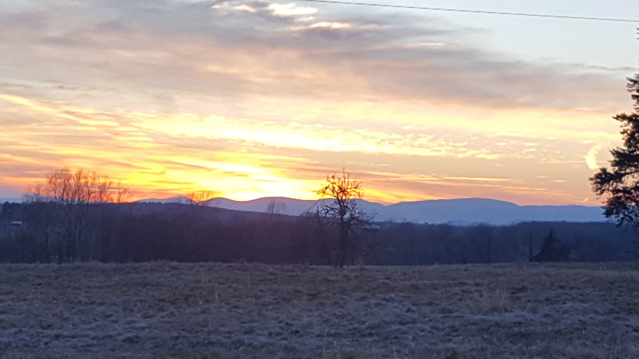 Image for Well Built 3 BR/2 BA Home on 1.7 +/- Acres in Madison County, VA