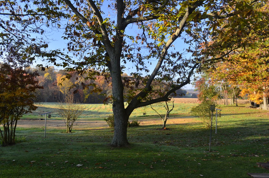 Image for Well Built 3 BR/2 BA Home on 1.7 +/- Acres in Madison County, VA