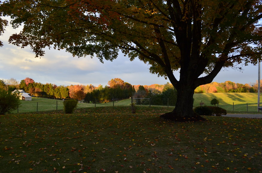 Image for Well Built 3 BR/2 BA Home on 1.7 +/- Acres in Madison County, VA