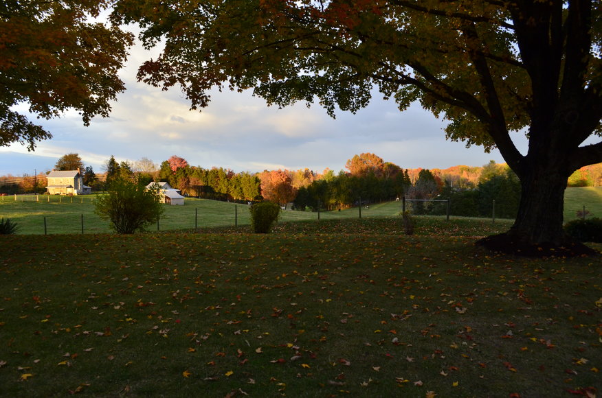 Image for Well Built 3 BR/2 BA Home on 1.7 +/- Acres in Madison County, VA