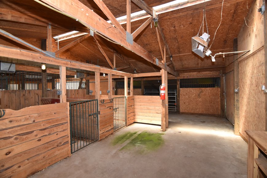 Image for GREEN BAY AREA EQUESTRIAN AUCTION