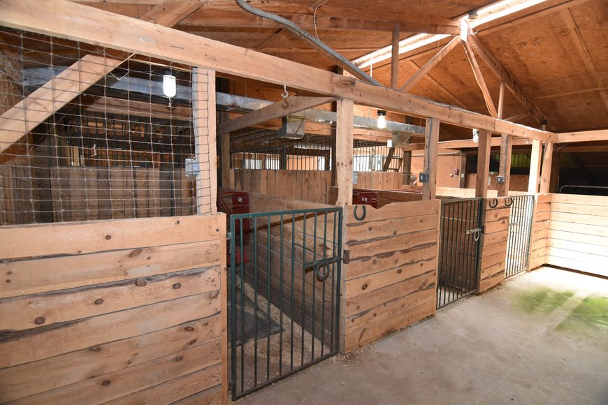 Image for GREEN BAY AREA EQUESTRIAN AUCTION