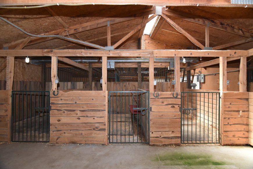 Image for GREEN BAY AREA EQUESTRIAN AUCTION