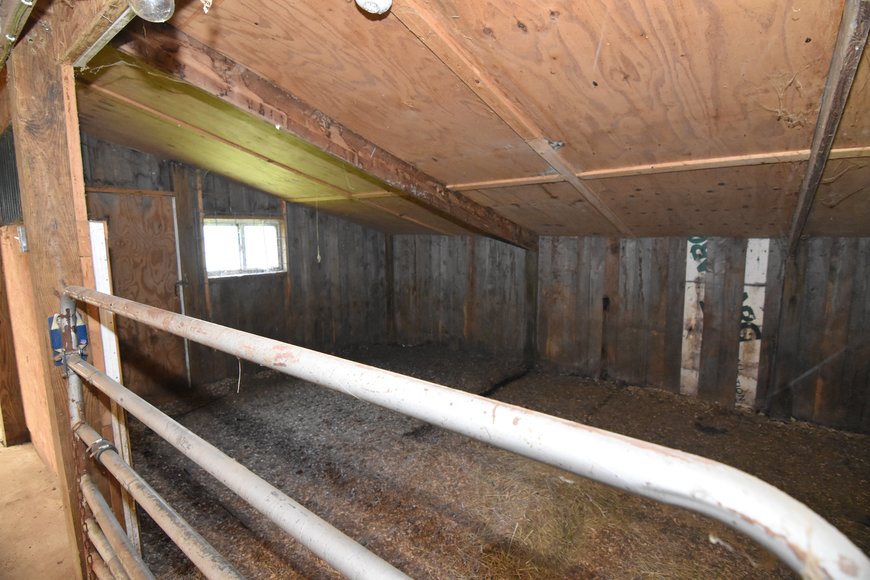 Image for GREEN BAY AREA EQUESTRIAN AUCTION