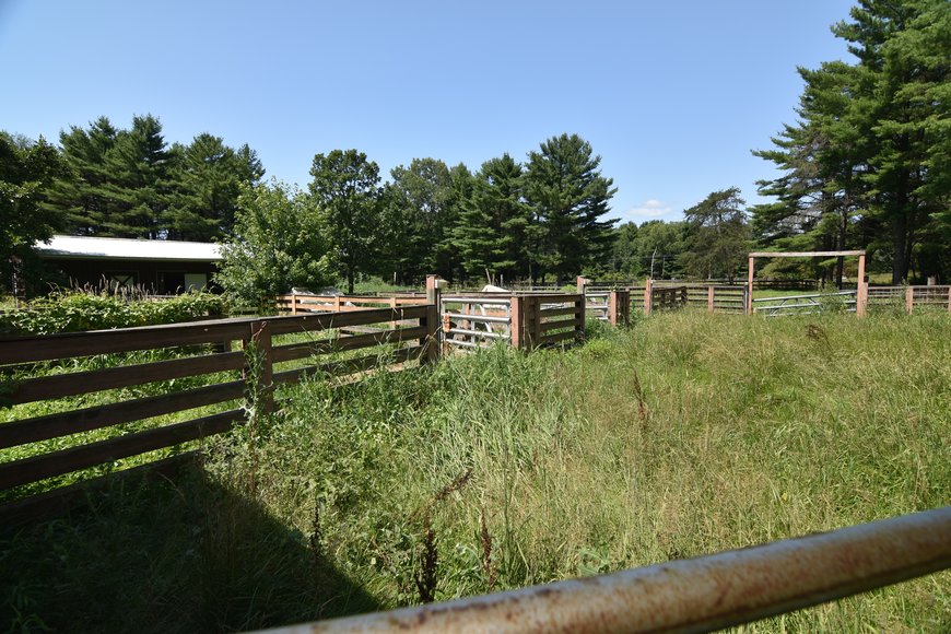 Image for GREEN BAY AREA EQUESTRIAN AUCTION