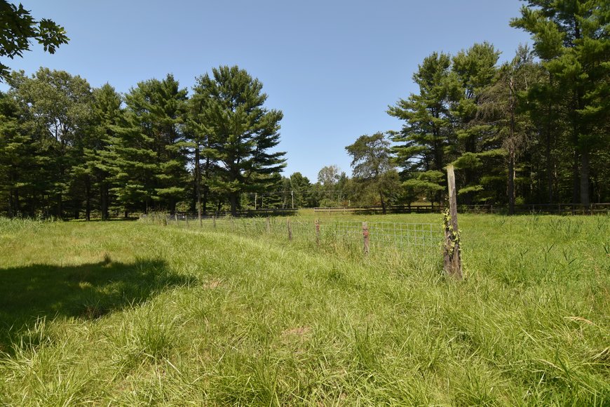 Image for GREEN BAY AREA EQUESTRIAN AUCTION