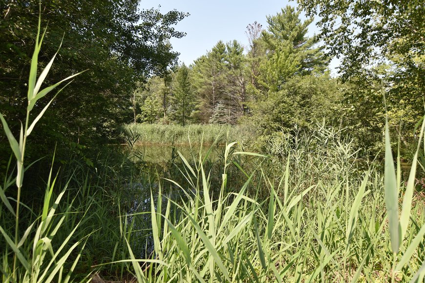 Image for GREEN BAY AREA EQUESTRIAN AUCTION