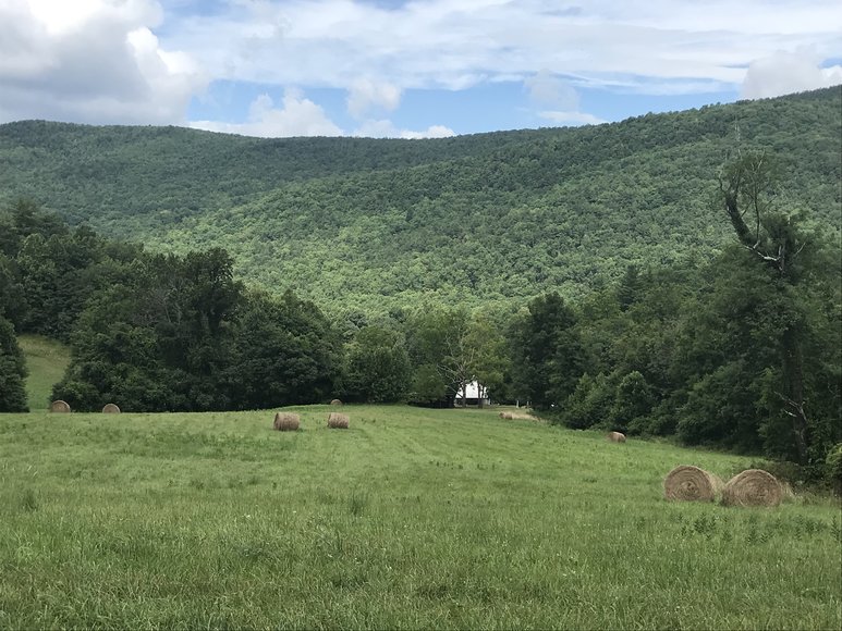 Image for Court Ordered Sale, Bridge Estate - 54.37+/- AC Near Wintergreen Ski Resort - 3604 Mt. Torrey Rd. Lyndhurst, VA 22952