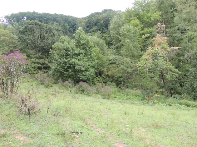 Image for 100 Acres of Recreational Land in Russell County, VA