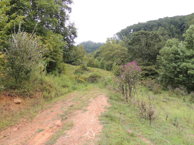 Image for 100 Acres of Recreational Land in Russell County, VA
