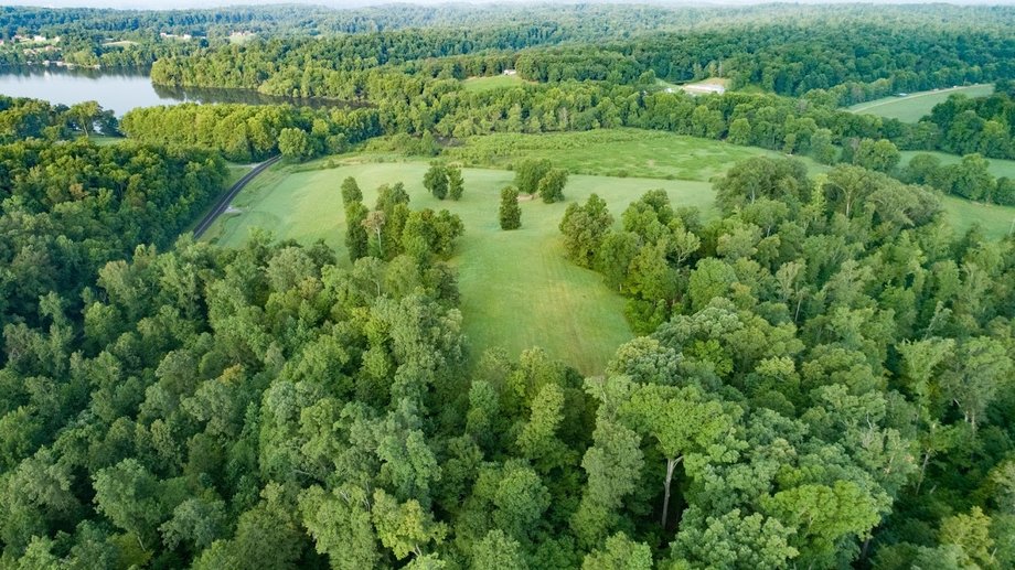 Image for Farm Auction: 22+/- Acres with Lake Barkley Views