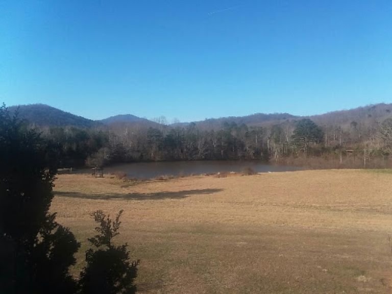 Image for 20 +/-  Wooded Acres w/Large Pond in Albemarle County, VA--SELLING to the HIGHEST BIDDER!!