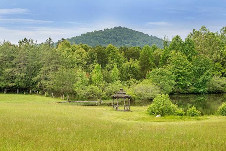 Image for 20 +/-  Wooded Acres w/Large Pond in Albemarle County, VA--SELLING to the HIGHEST BIDDER!!