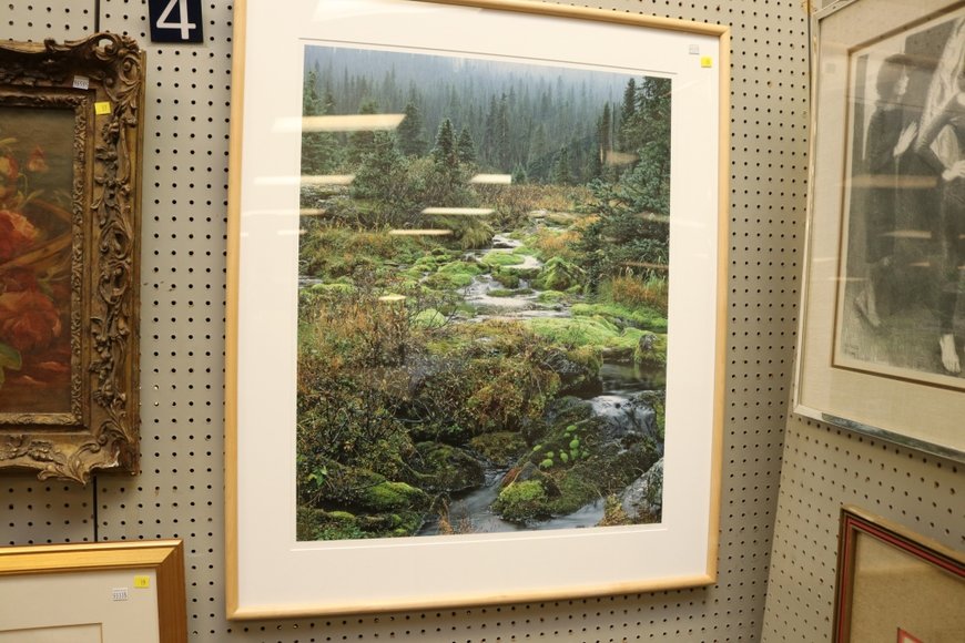 Image for Gallery Auction with Sports Memorabilia and Sporting Equipment: 9-12-19