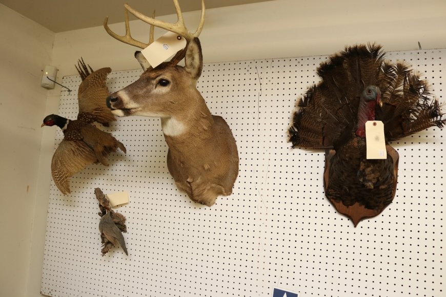 Image for Gallery Auction with Sports Memorabilia and Sporting Equipment: 9-12-19