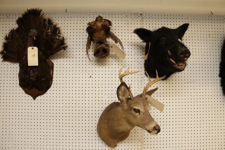 Image for Gallery Auction with Sports Memorabilia and Sporting Equipment: 9-12-19