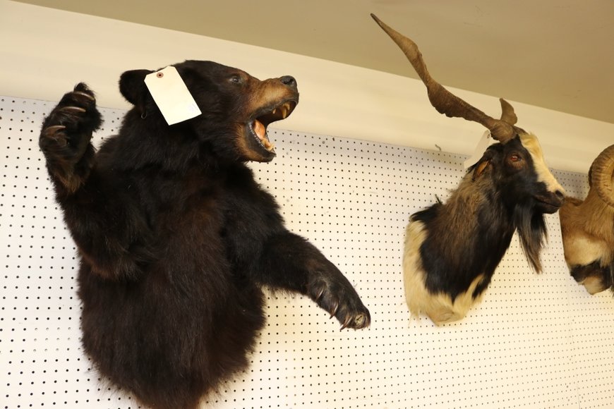 Image for Gallery Auction with Sports Memorabilia and Sporting Equipment: 9-12-19