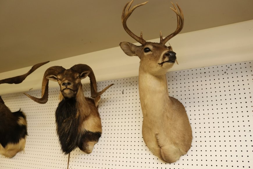 Image for Gallery Auction with Sports Memorabilia and Sporting Equipment: 9-12-19