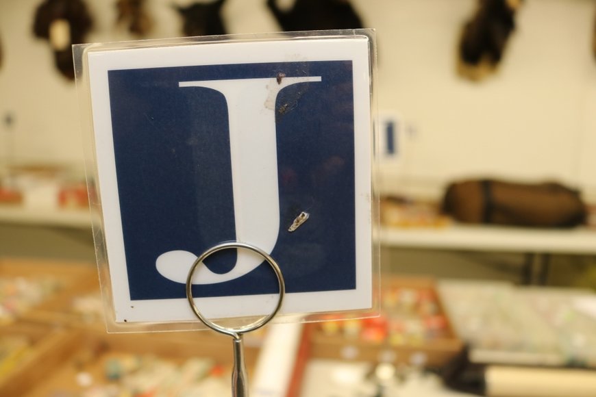 Image for Gallery Auction with Sports Memorabilia and Sporting Equipment: 9-12-19