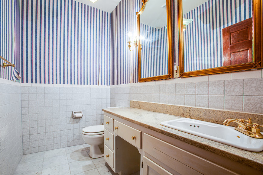 Image for Stately 5 BR/4.5 BA Home w/In-Law Suite on 38.9 +/- Acres in Louisa County, VA