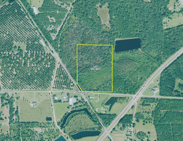 Image for Live Auction - October 17, 2019    153+ Acres in Lowndes County, Georgia