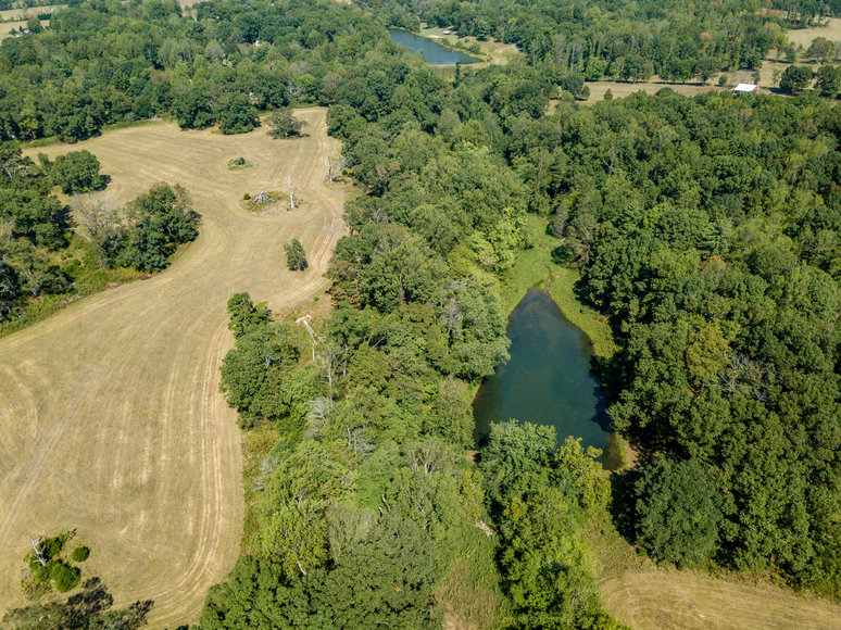 Image for ESTATE AUCTION: Land and Personal Property (Bedford, VA)