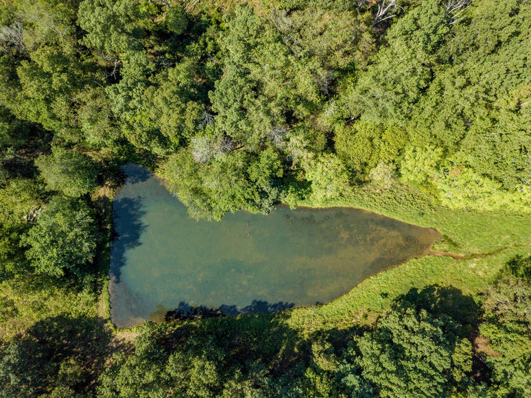 Image for ESTATE AUCTION: Land and Personal Property (Bedford, VA)