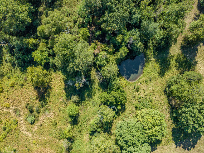 Image for ESTATE AUCTION: Land and Personal Property (Bedford, VA)