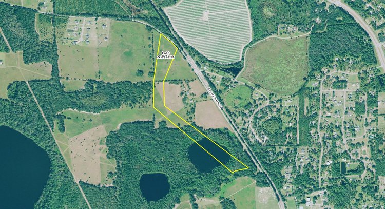 Image for Live Auction - October 17, 2019    153+ Acres in Lowndes County, Georgia