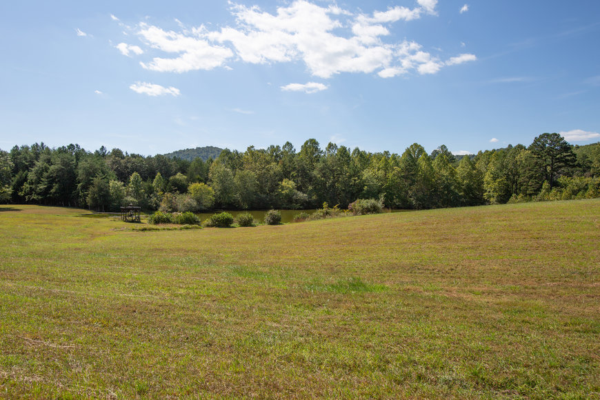 Image for Stately 5 BR/5.5 BA Home on 3.5 +/- Acres in Albemarle County, VA--SELLING to the HIGHEST BIDDER!!