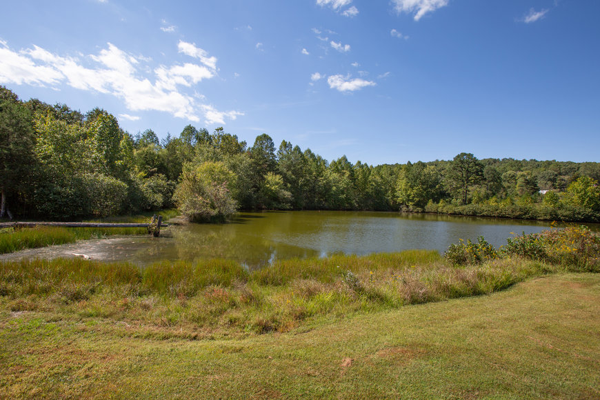 Image for Stately 5 BR/5.5 BA Home on 3.5 +/- Acres in Albemarle County, VA--SELLING to the HIGHEST BIDDER!!