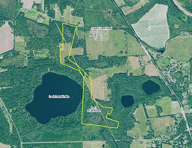 Image for Live Auction - October 17, 2019    153+ Acres in Lowndes County, Georgia