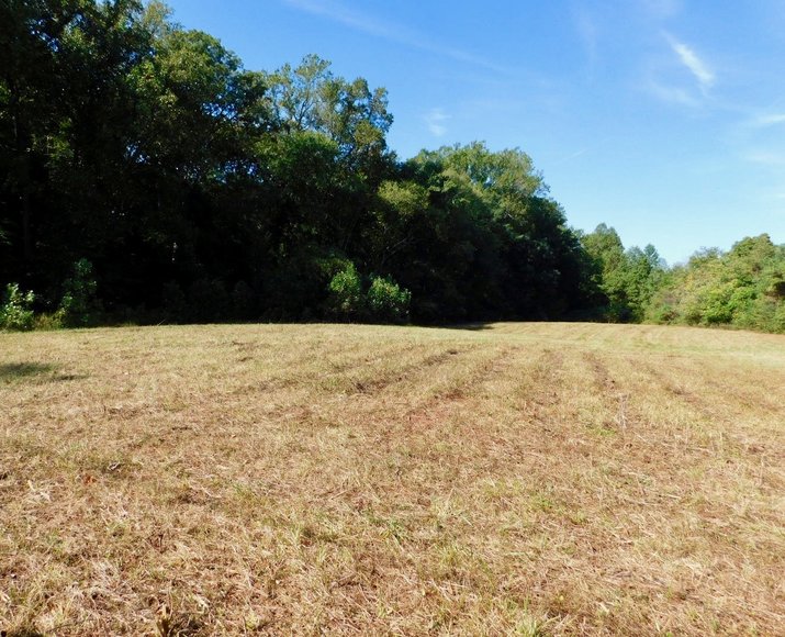 Image for 4 BR/3 BA Home on 11 +/- Acres w/Large Workshop/Barn in Orange County, VA