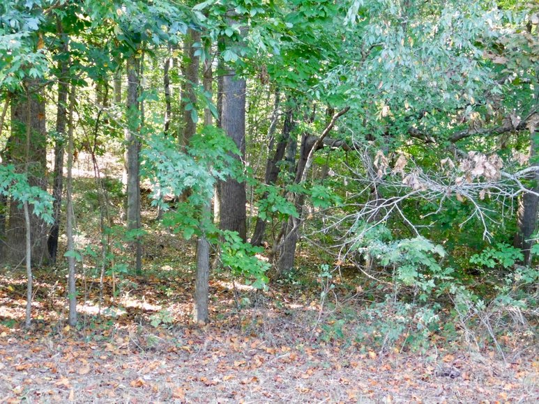 Image for 4 BR/3 BA Home on 11 +/- Acres w/Large Workshop/Barn in Orange County, VA