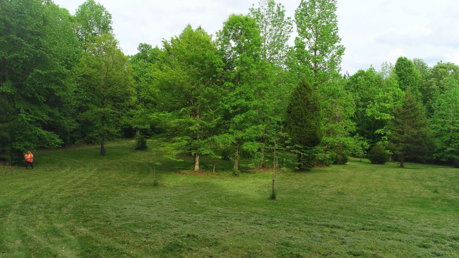 Image for Immaculate 3 BR/3 BA Log Home on 8.4 +/- Acres Only Minutes from Lake Anna in Louisa County, VA