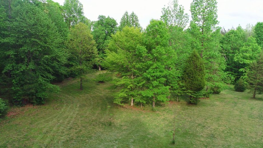 Image for Immaculate 3 BR/3 BA Log Home on 8.4 +/- Acres Only Minutes from Lake Anna in Louisa County, VA