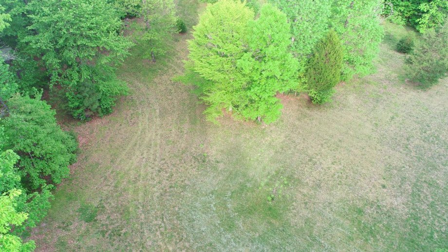 Image for Immaculate 3 BR/3 BA Log Home on 8.4 +/- Acres Only Minutes from Lake Anna in Louisa County, VA