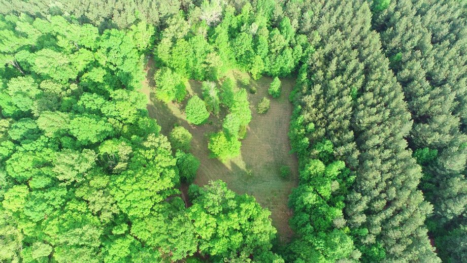 Image for Immaculate 3 BR/3 BA Log Home on 8.4 +/- Acres Only Minutes from Lake Anna in Louisa County, VA