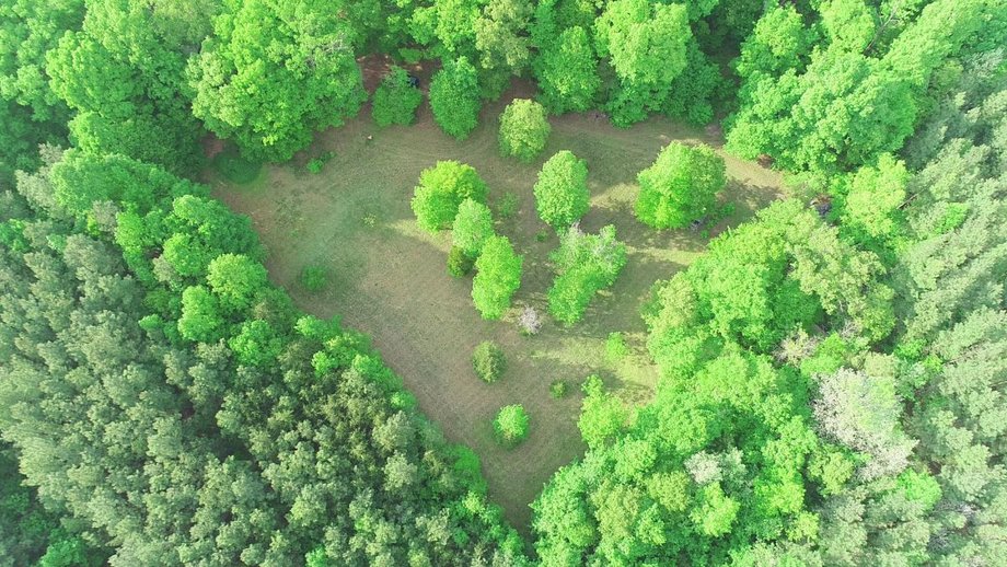 Image for Immaculate 3 BR/3 BA Log Home on 8.4 +/- Acres Only Minutes from Lake Anna in Louisa County, VA