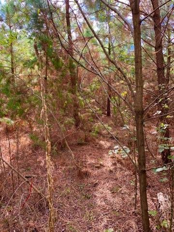 Image for 35.49 Acres Online Only Real Estate Land Auction!