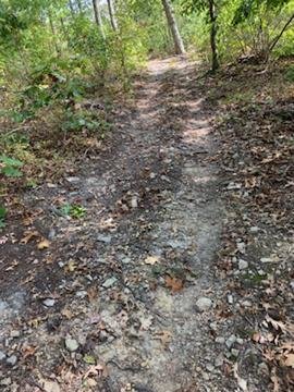 Image for 35.49 Acres Online Only Real Estate Land Auction!