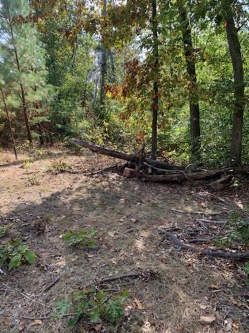 Image for 35.49 Acres Online Only Real Estate Land Auction!