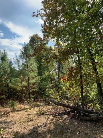 Image for 35.49 Acres Online Only Real Estate Land Auction!