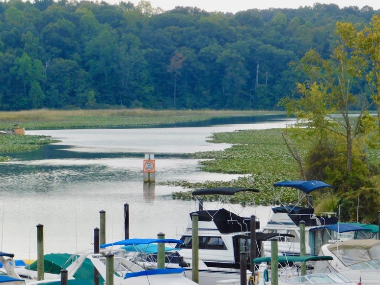 Image for Wooded Waterfront Building Lot in Gated Community--North Stafford County, VA