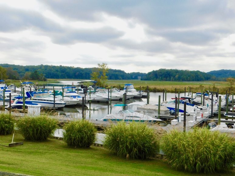 Image for Wooded Waterfront Building Lot in Gated Community--North Stafford County, VA