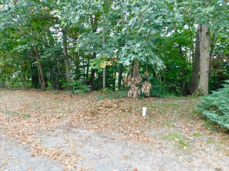 Image for Wooded Waterfront Building Lot in Gated Community--North Stafford County, VA